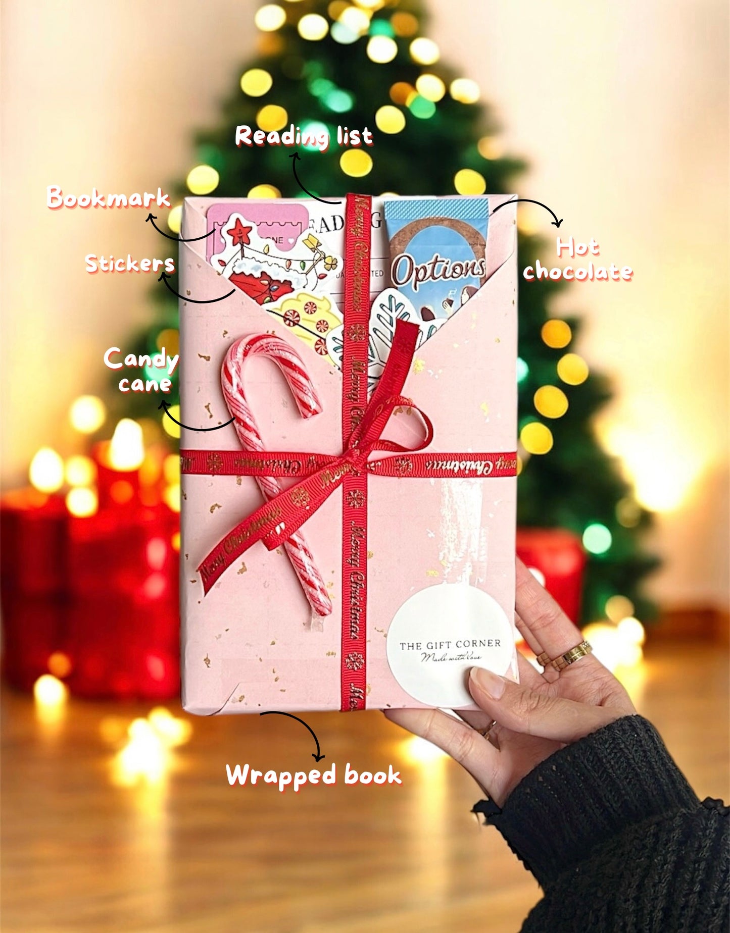 🎄❄️Holiday Edition~ Blind Date with a Book🎄❄️